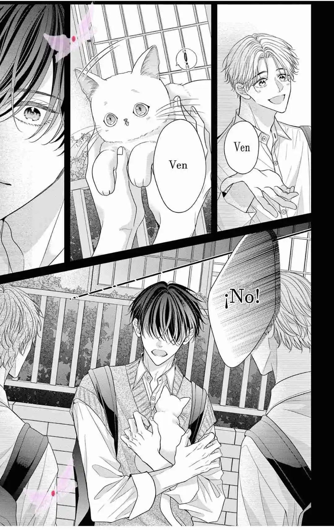 Mímame Soy Una Gata (甘やかしてね猫だから) - Capítulo 13 - Página 8 - LectorTMOo