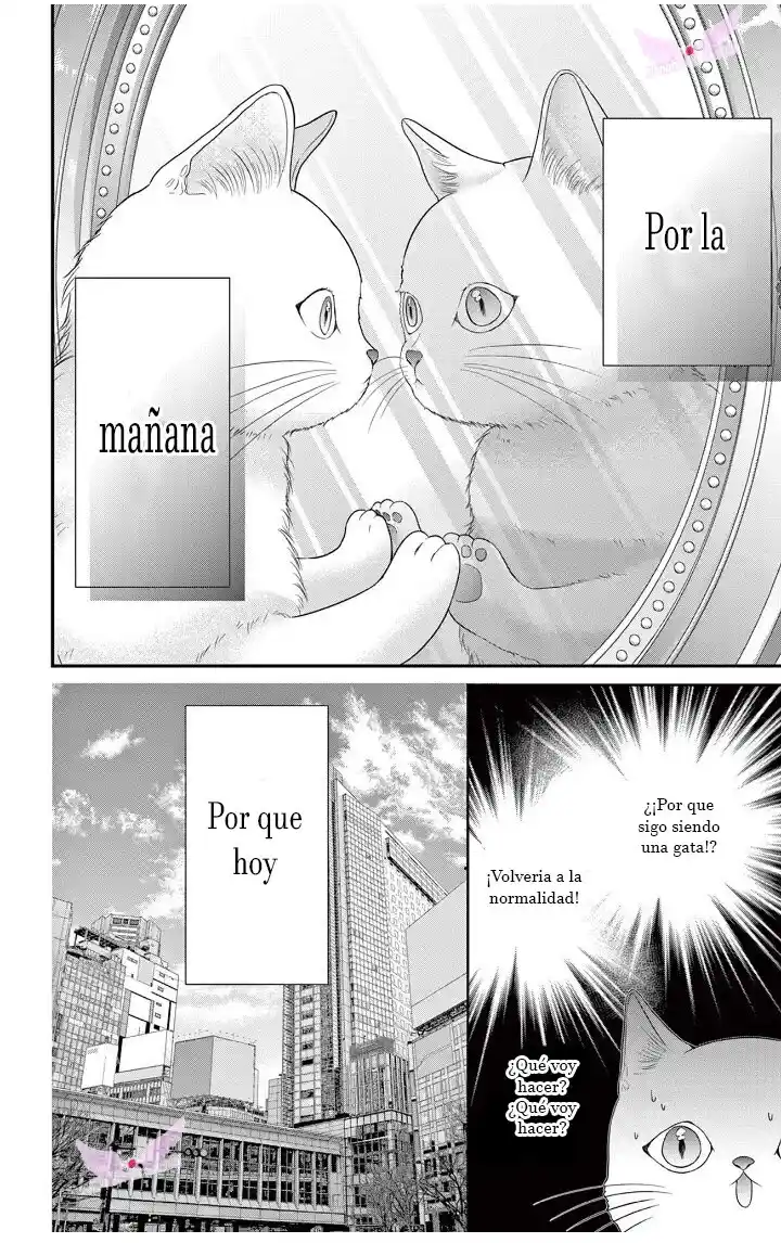 Mímame Soy Una Gata (甘やかしてね猫だから) - Capítulo 2 - Página 30 - LectorTMOo