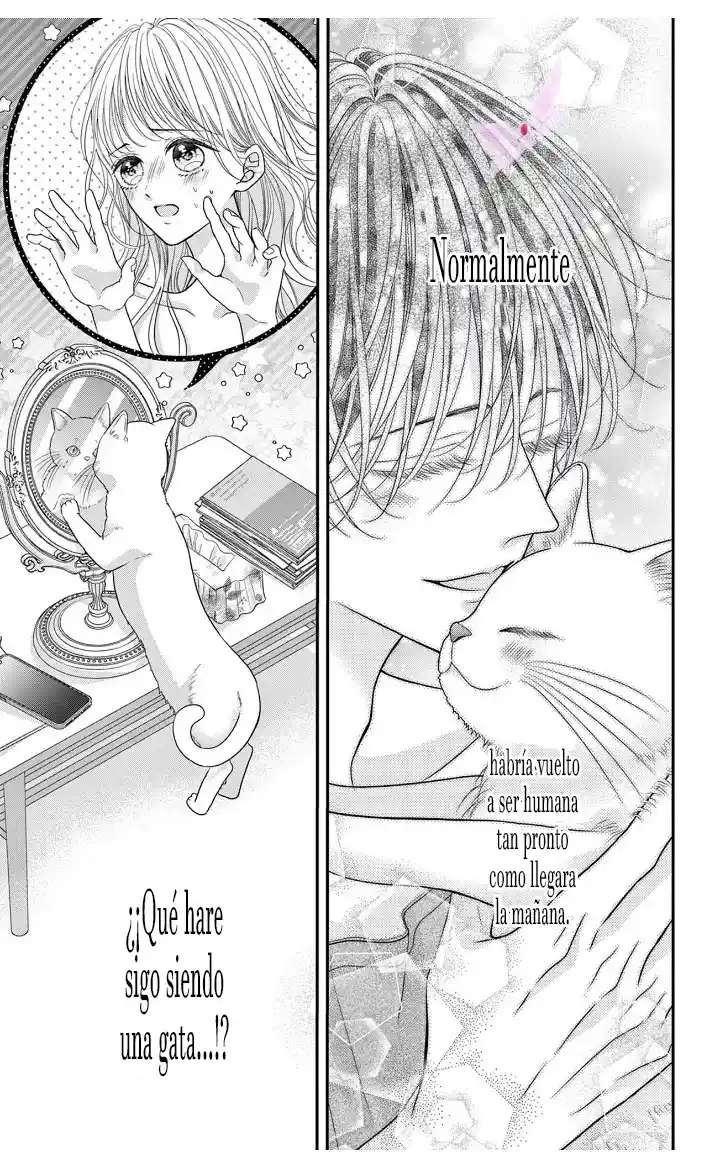 Mímame Soy Una Gata (甘やかしてね猫だから) - Capítulo 3 - Página 2 - LectorTMOo