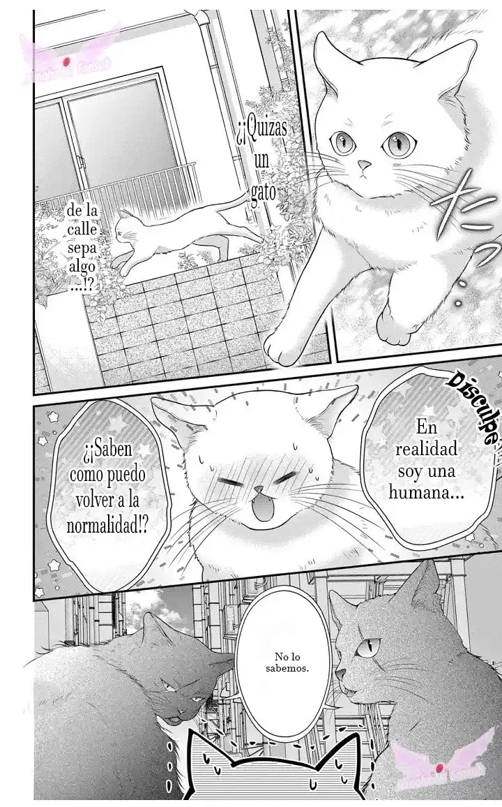 Mímame Soy Una Gata (甘やかしてね猫だから) - Capítulo 3 - Página 5 - LectorTMOo