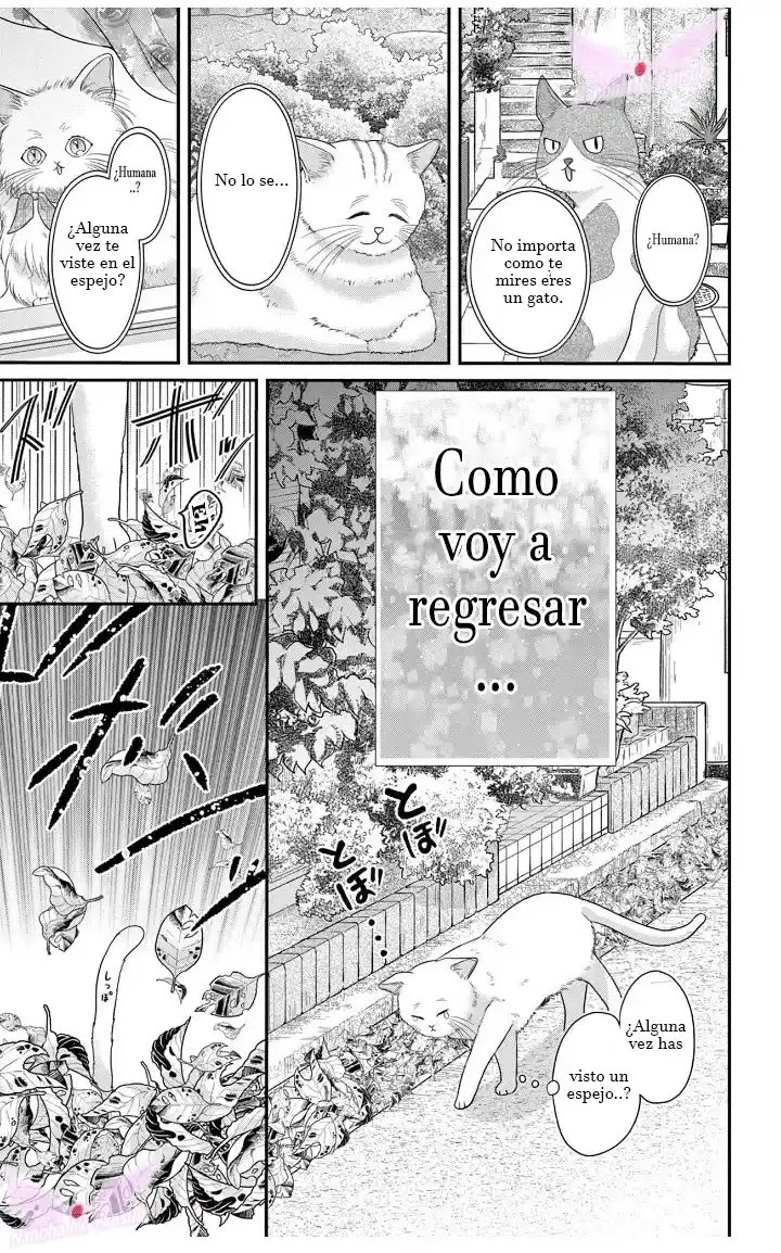 Mímame Soy Una Gata (甘やかしてね猫だから) - Capítulo 3 - Página 6 - LectorTMOo