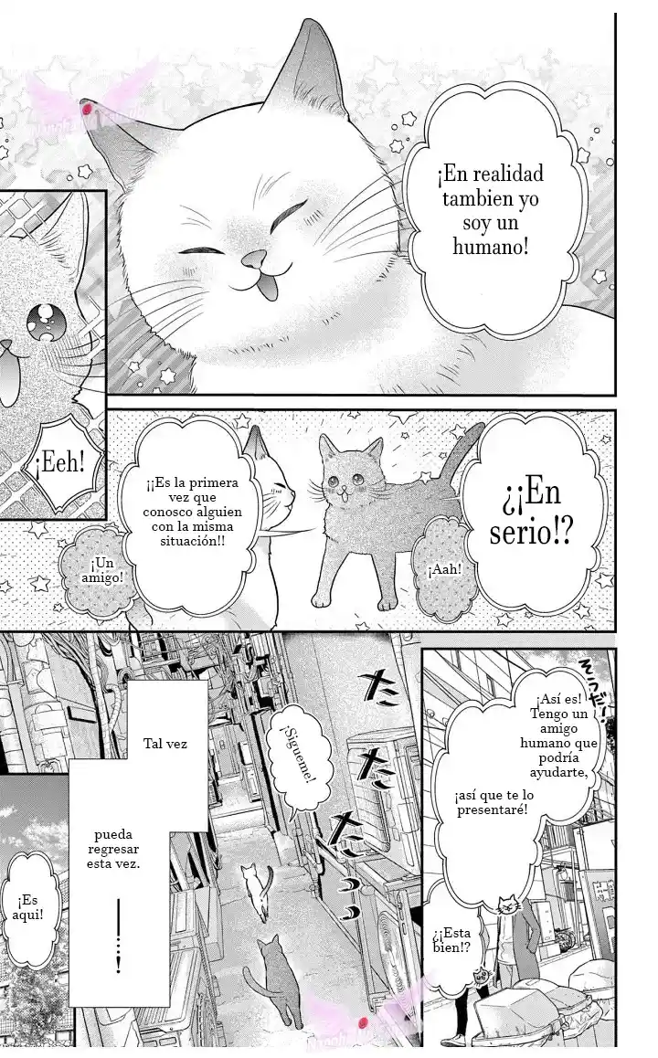 Mímame Soy Una Gata (甘やかしてね猫だから) - Capítulo 3 - Página 8 - LectorTMOo