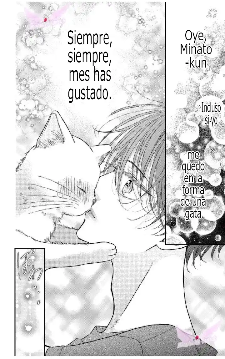 Mímame Soy Una Gata (甘やかしてね猫だから) - Capítulo 3 - Página 15 - LectorTMOo