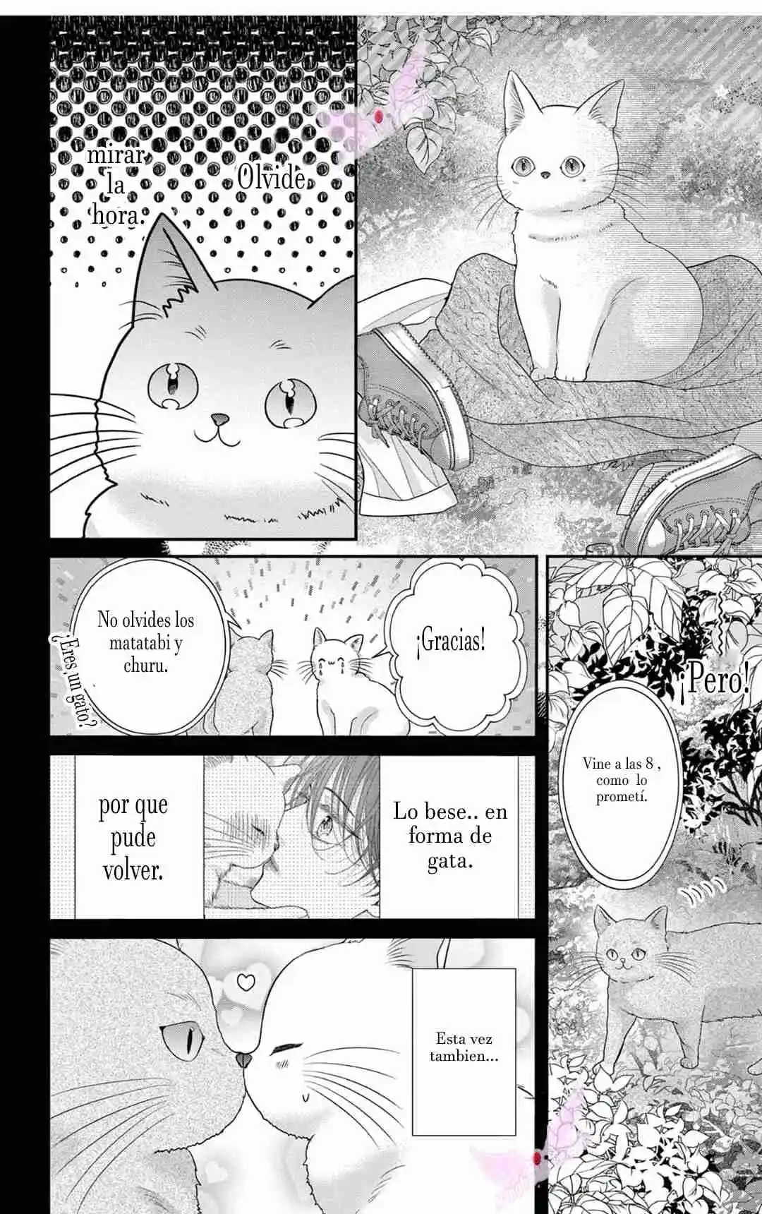 Mímame Soy Una Gata (甘やかしてね猫だから) - Capítulo 6 - Página 32 - LectorTMOo