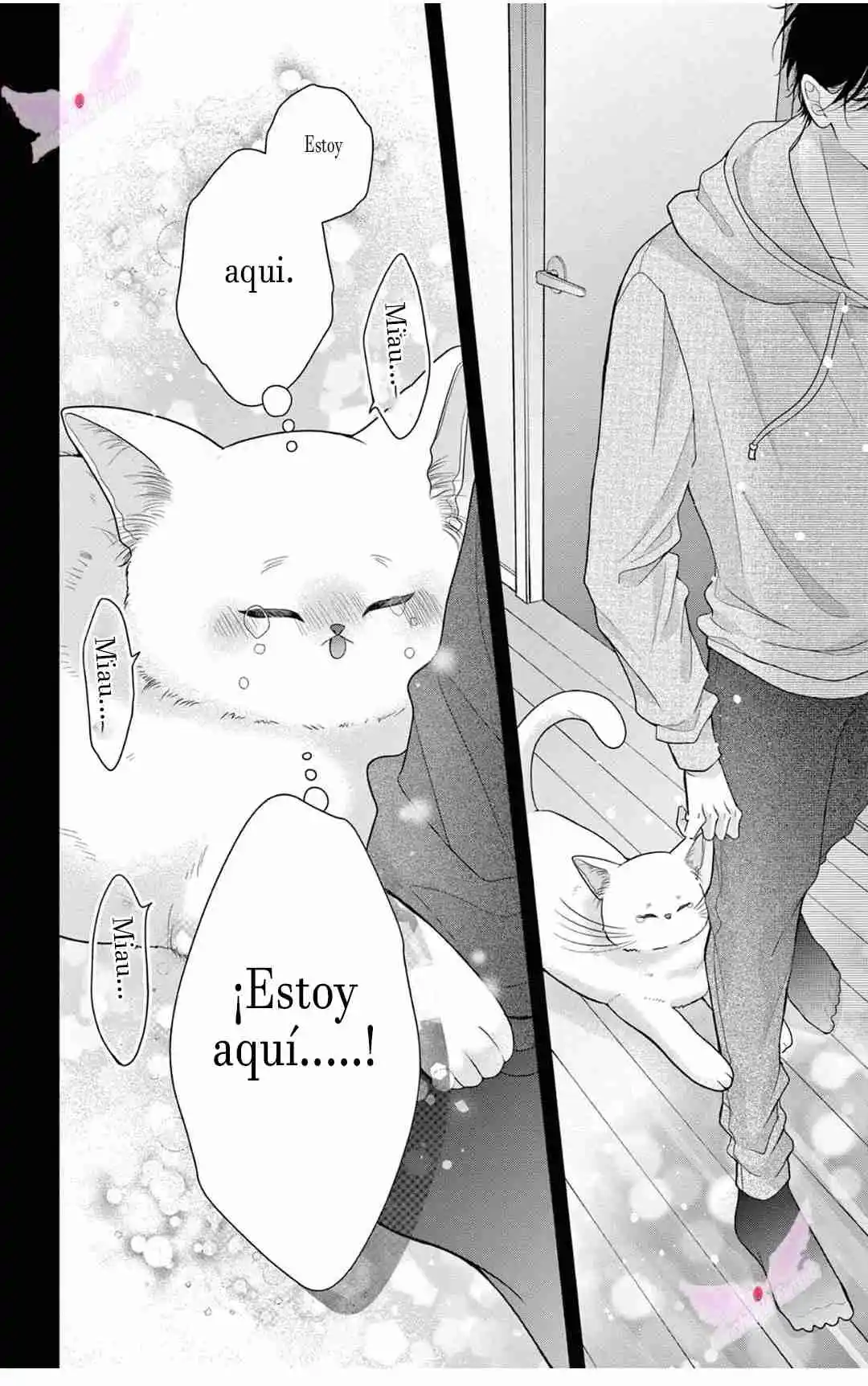Mímame Soy Una Gata (甘やかしてね猫だから) - Capítulo 9 - Página 23 - LectorTMOo