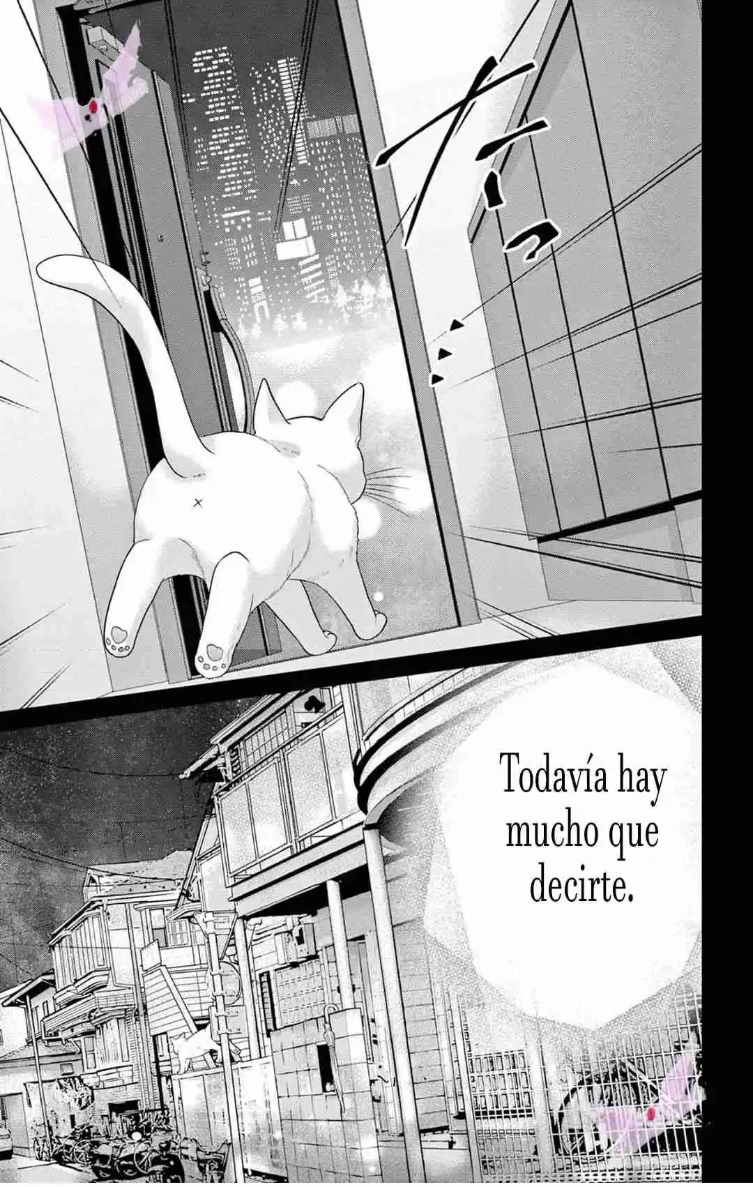 Mímame Soy Una Gata (甘やかしてね猫だから) - Capítulo 9 - Página 26 - LectorTMOo