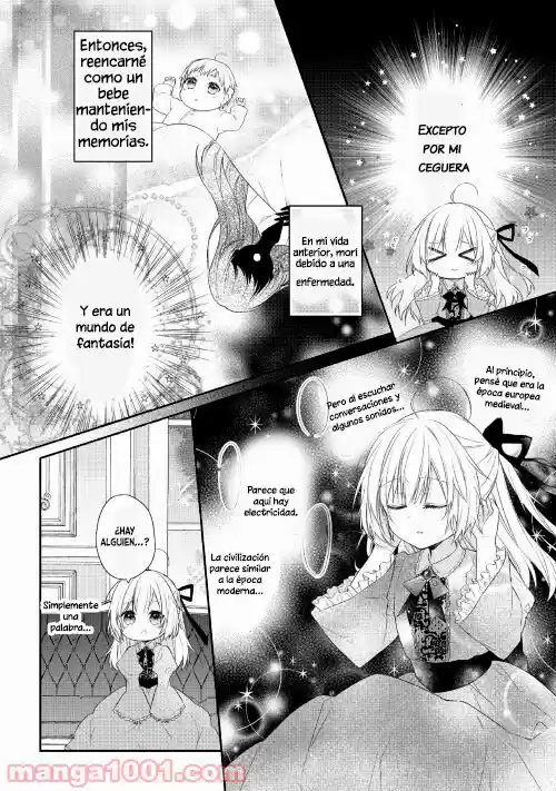 Mōmoku No Kōshaku Reijō Ni Tensei Shimashita - Capítulo 1 - Página 4 - LectorTMOo