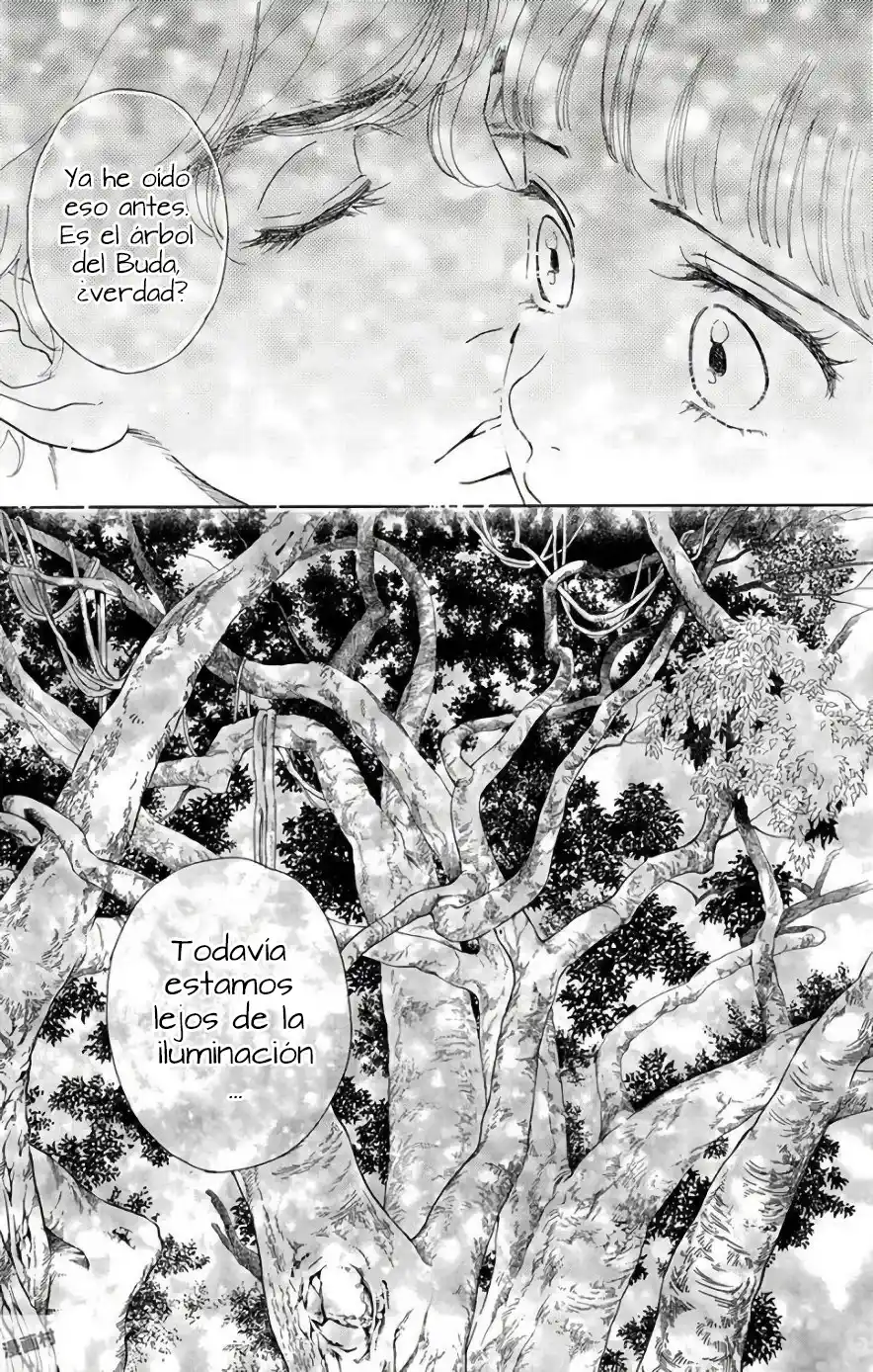 Madame Petit - Capítulo 51 - Página 13 - LectorTMOo