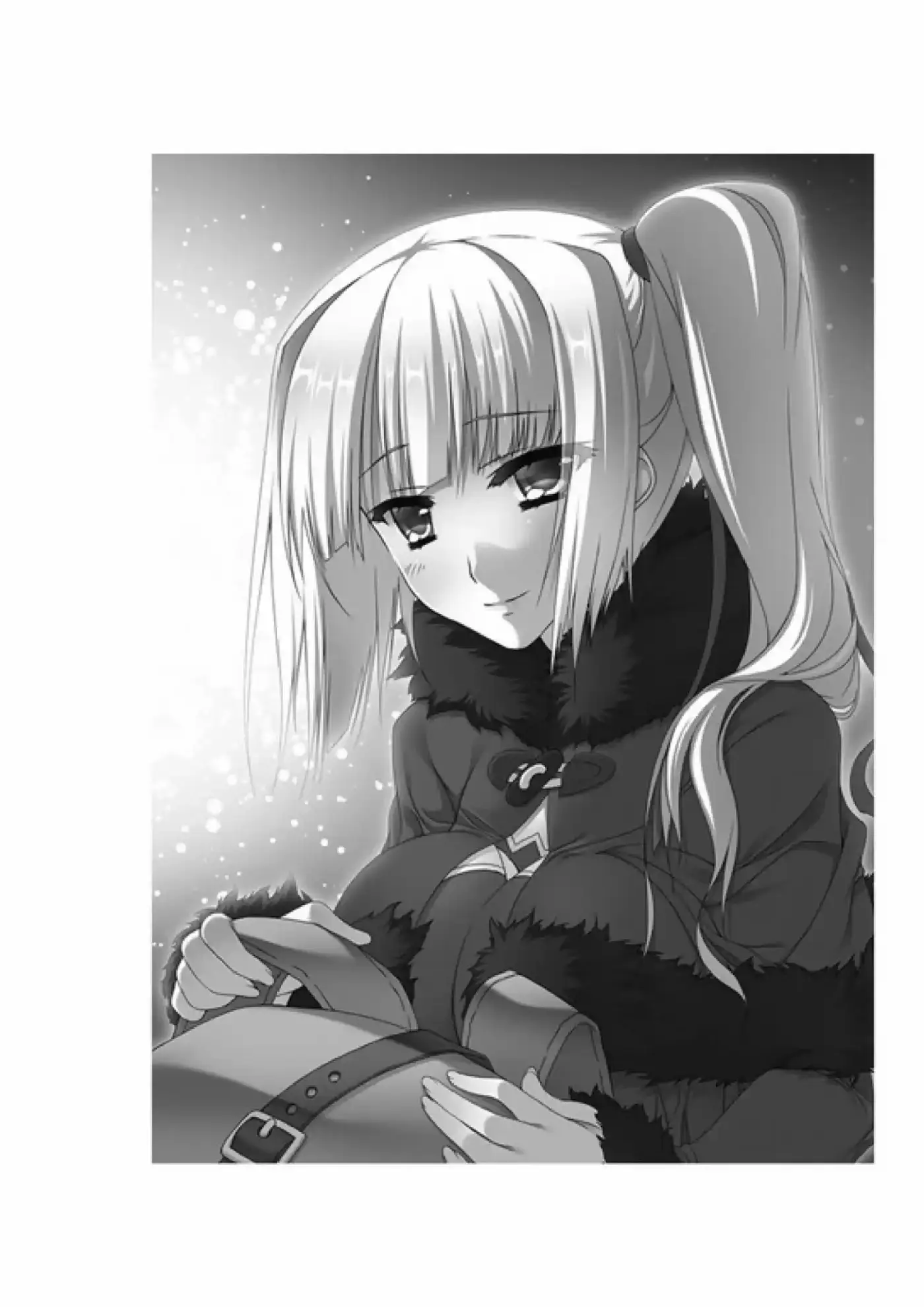 Madan No Ō To Vanadis (Novela) - Capítulo 45 - Página 15 - LectorTMOo