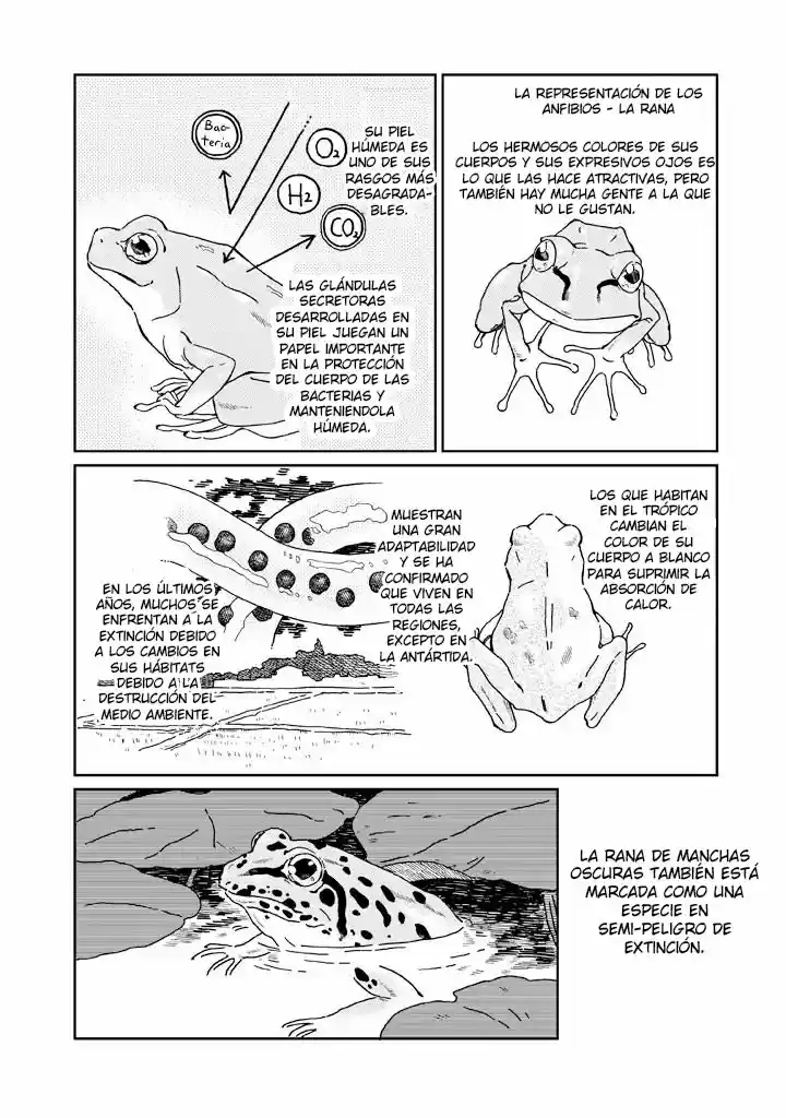 Madon'na Wa Garasukēsu No Naka - Capítulo 5 - Página 4 - LectorTMOo