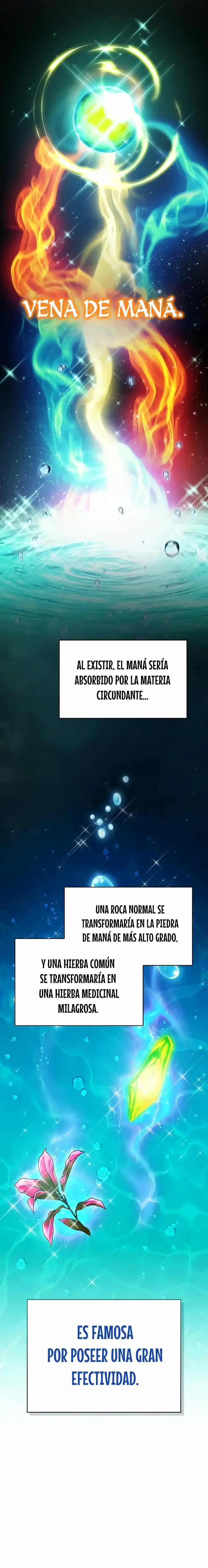 Maestro De Espadas Genio De La Academia - Capítulo 13 - Página 39 - LectorTMOo