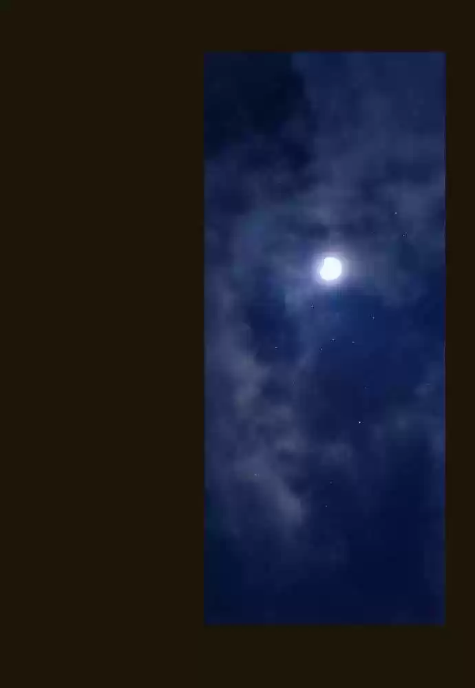 Magician (KIM Sarae) - Capítulo 81 - Página 11 - LectorTMOo