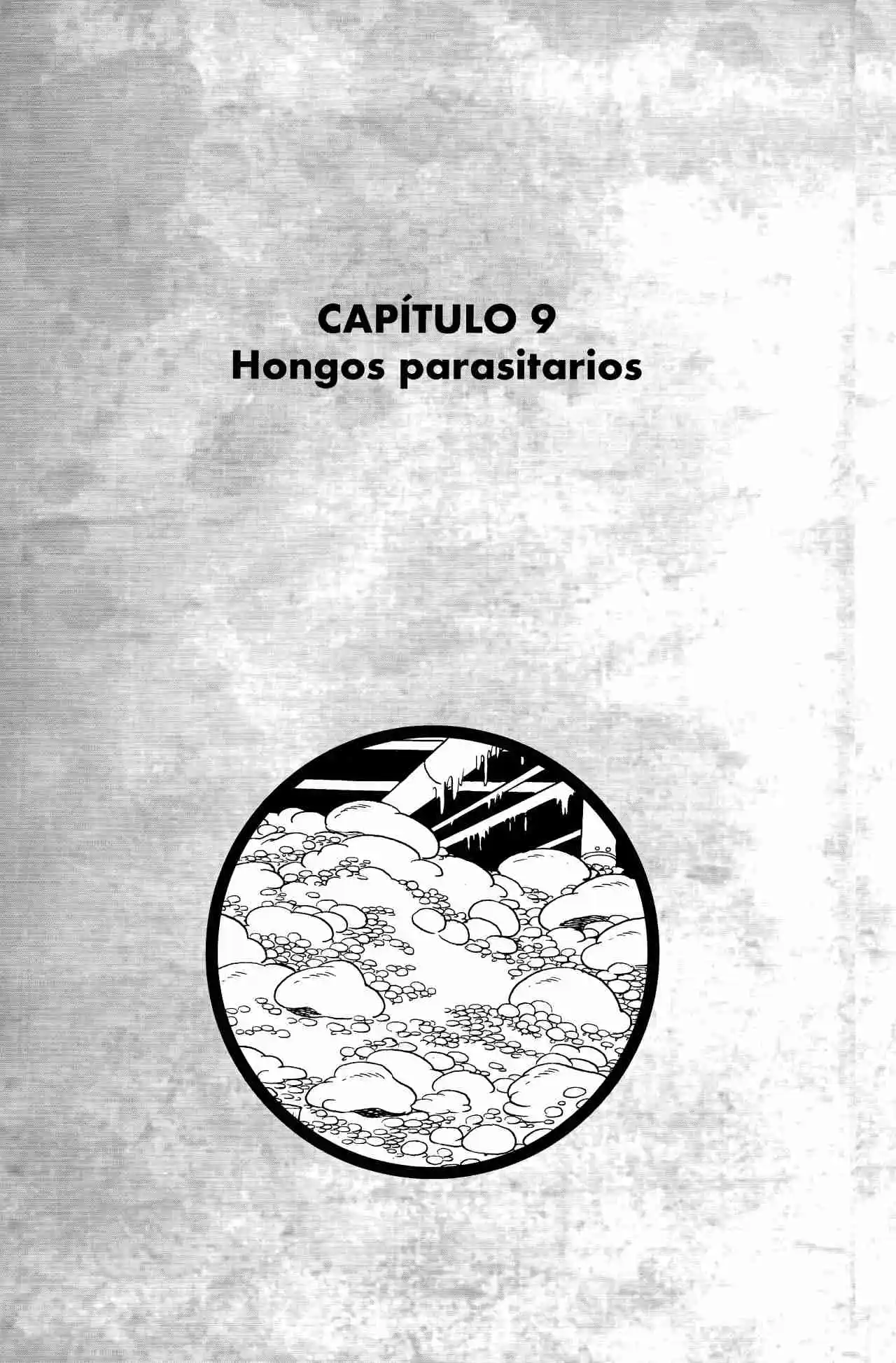 Magma Taishi - Capítulo 9 - Página 3 - LectorTMOo