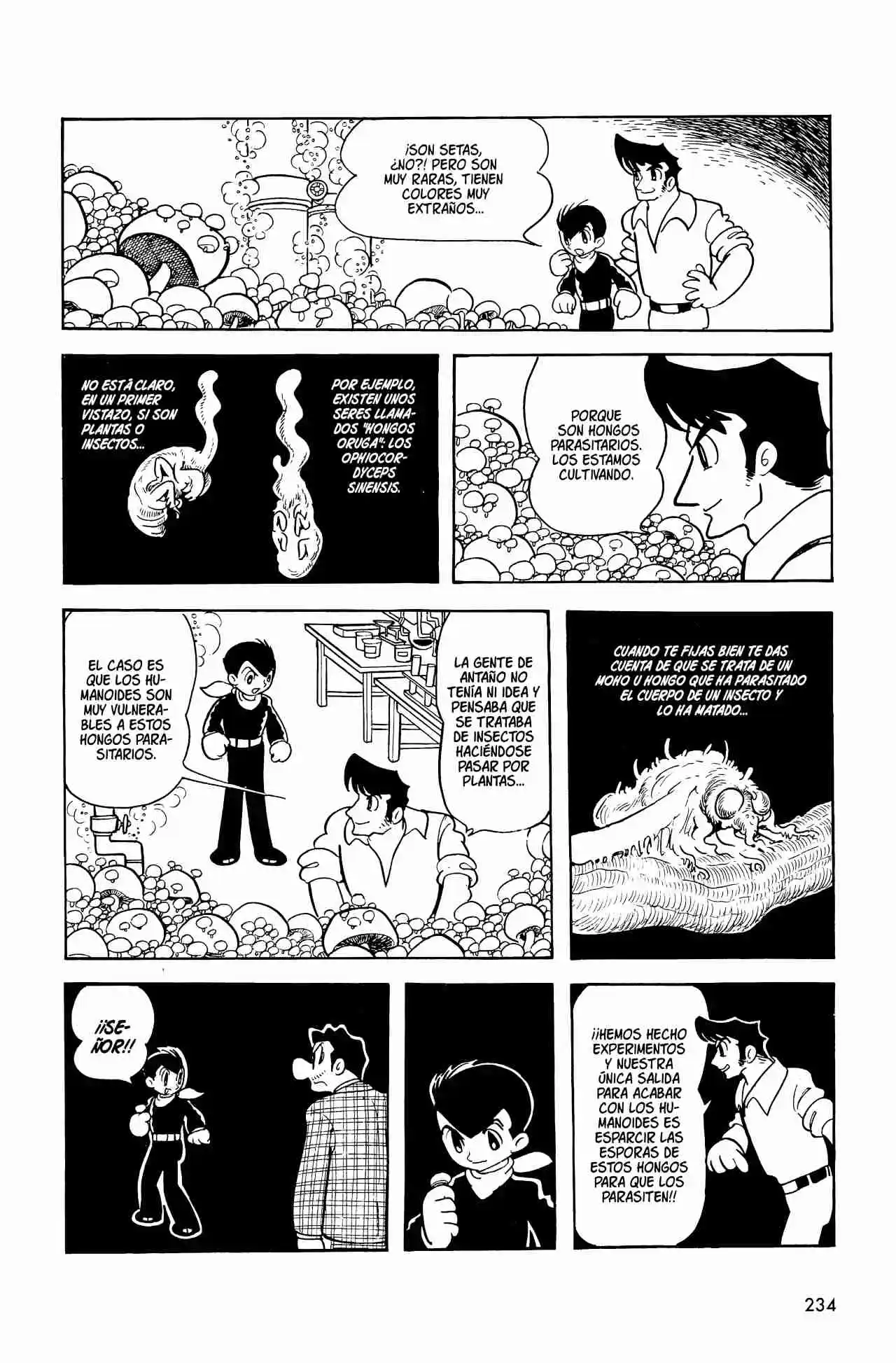 Magma Taishi - Capítulo 9 - Página 24 - LectorTMOo