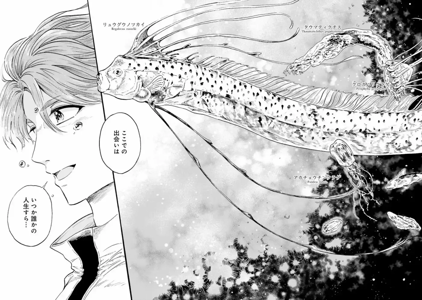 Magumeru Shinkai Suizokukan capítulo 0 página 19