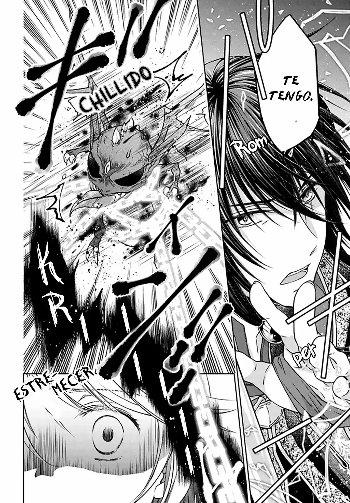 Mahoutsukai No Konyakusha - Capítulo 18 - Página 17 - LectorTMOo