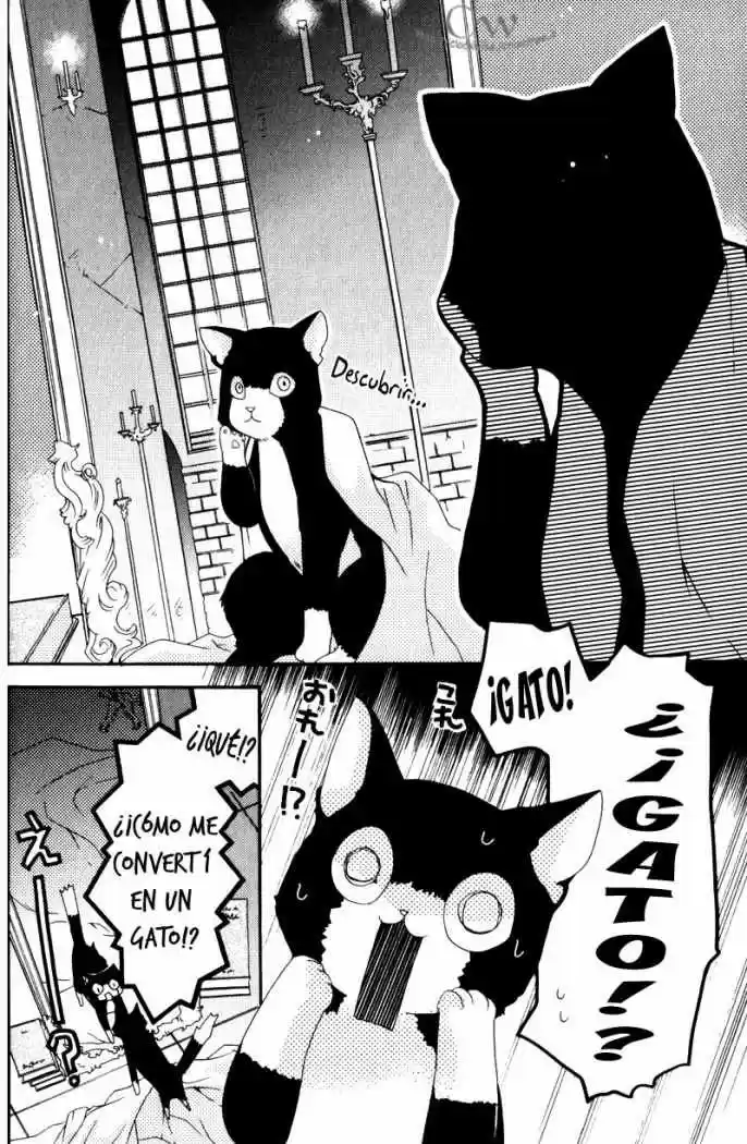 Mahoutsukai No Neko - Capítulo 1 - Página 25 - LectorTMOo