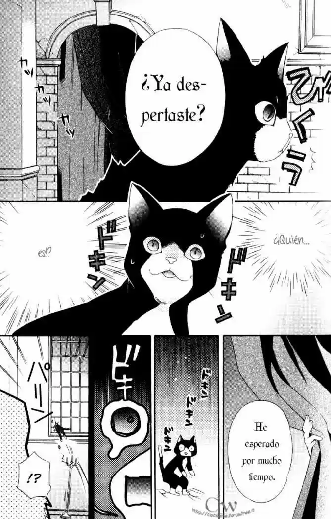 Mahoutsukai No Neko - Capítulo 1 - Página 26 - LectorTMOo
