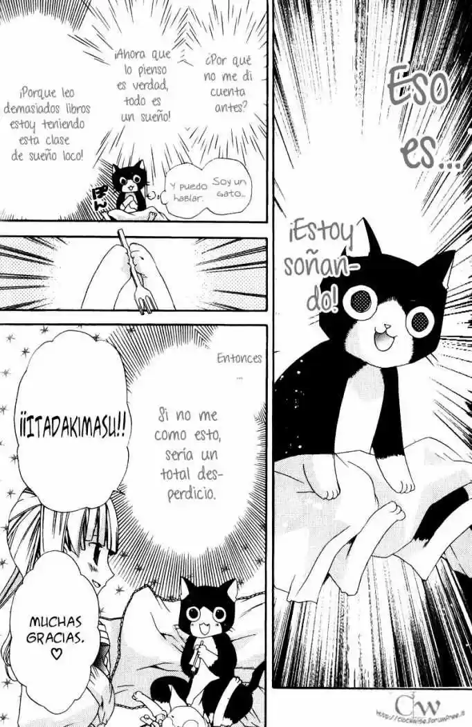 Mahoutsukai No Neko - Capítulo 1 - Página 31 - LectorTMOo