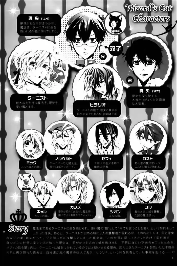 Mahoutsukai No Neko - Capítulo 14 - Página 9 - LectorTMOo