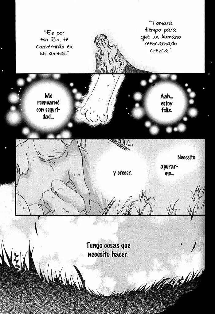 Mahoutsukai No Neko - Capítulo 32 - Página 12 - LectorTMOo