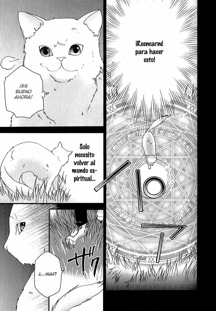 Mahoutsukai No Neko - Capítulo 32 - Página 14 - LectorTMOo