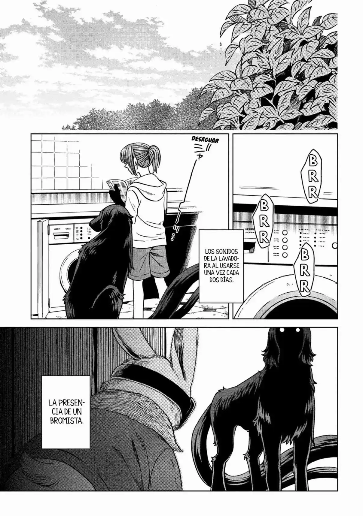 Mahoutsukai No Yome: Fragmentos - Capítulo 6 - Página 12 - LectorTMOo