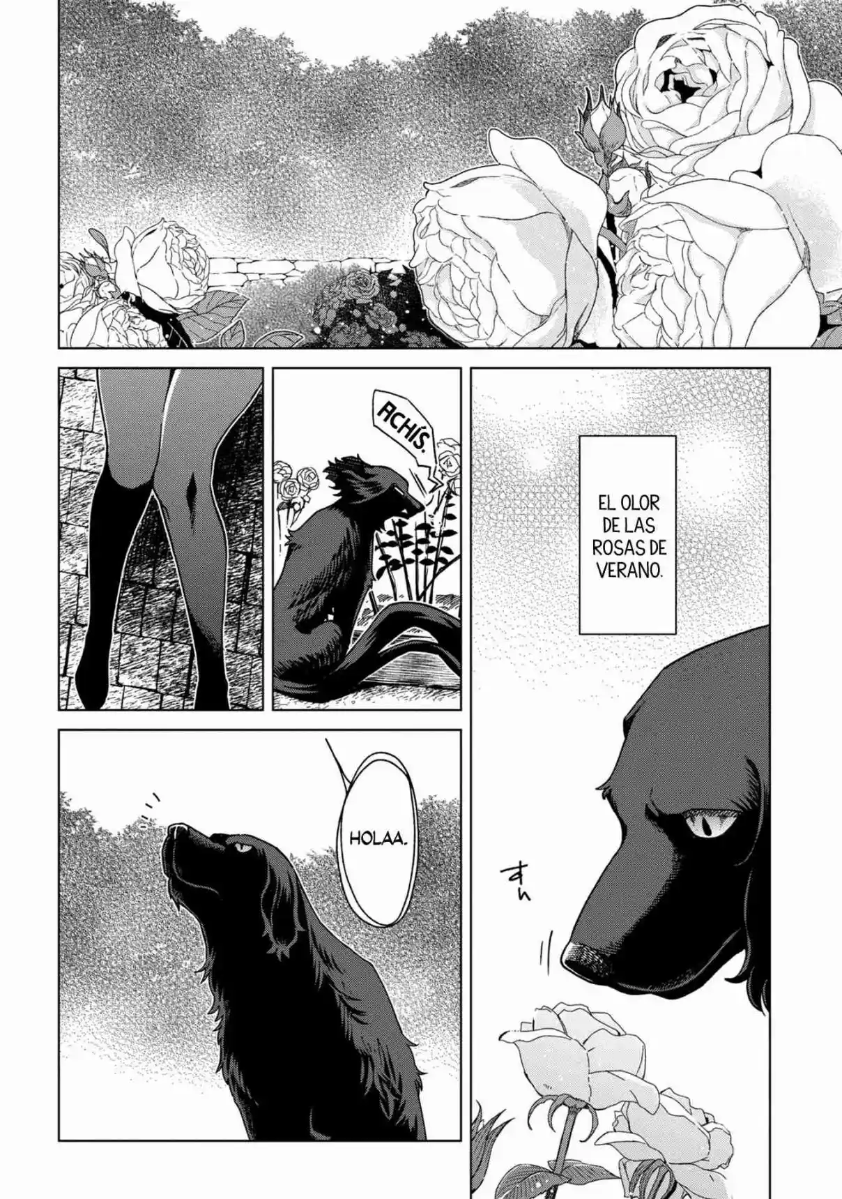 Mahoutsukai No Yome: Fragmentos - Capítulo 6 - Página 21 - LectorTMOo