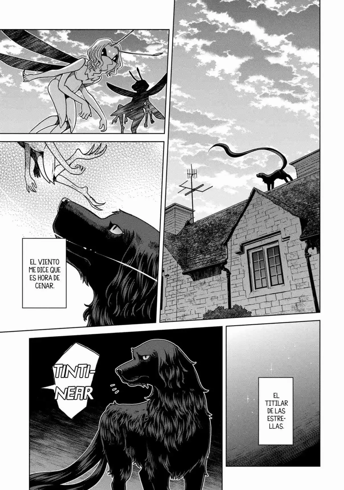 Mahoutsukai No Yome: Fragmentos - Capítulo 6 - Página 24 - LectorTMOo