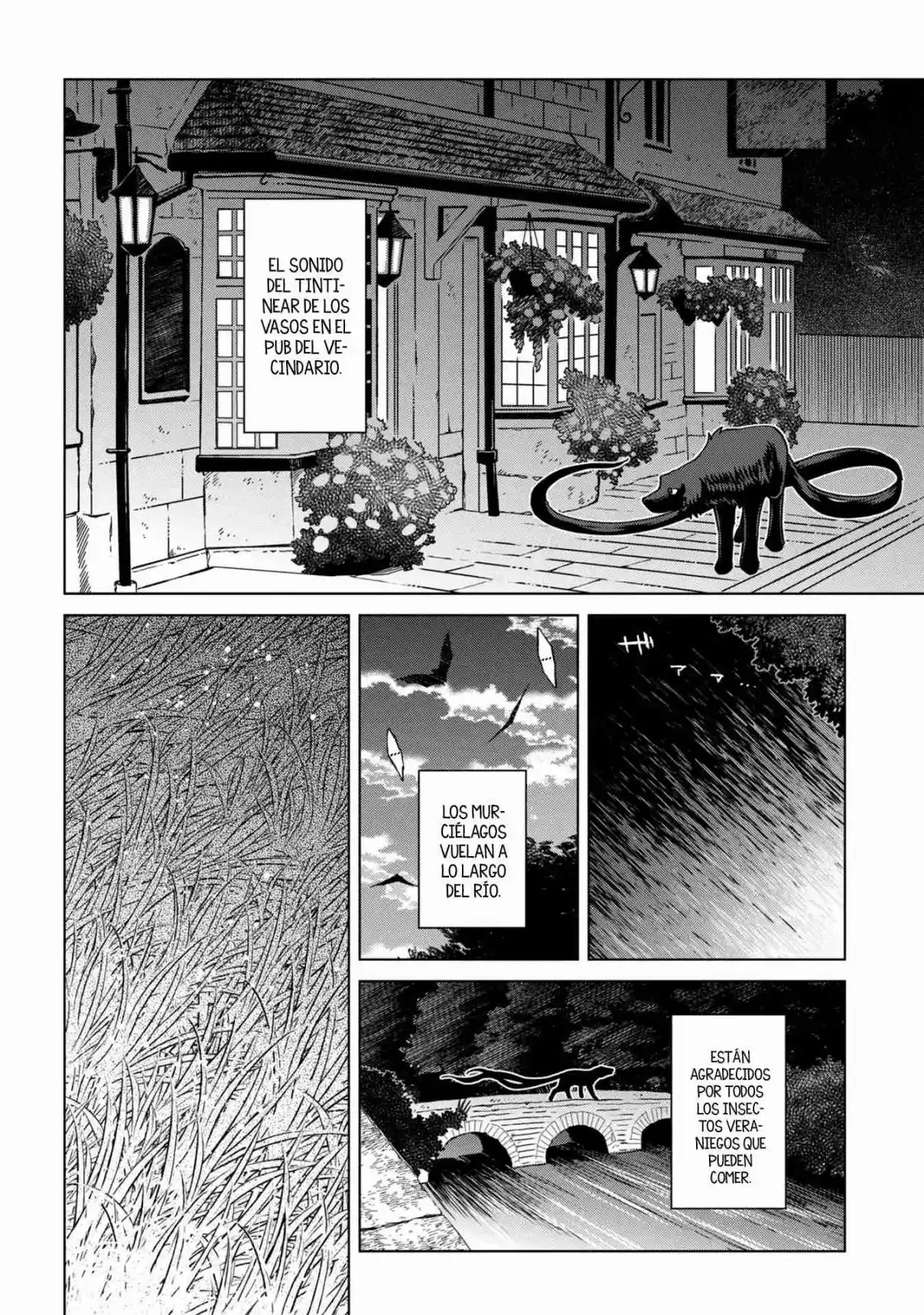 Mahoutsukai No Yome: Fragmentos - Capítulo 6 - Página 25 - LectorTMOo