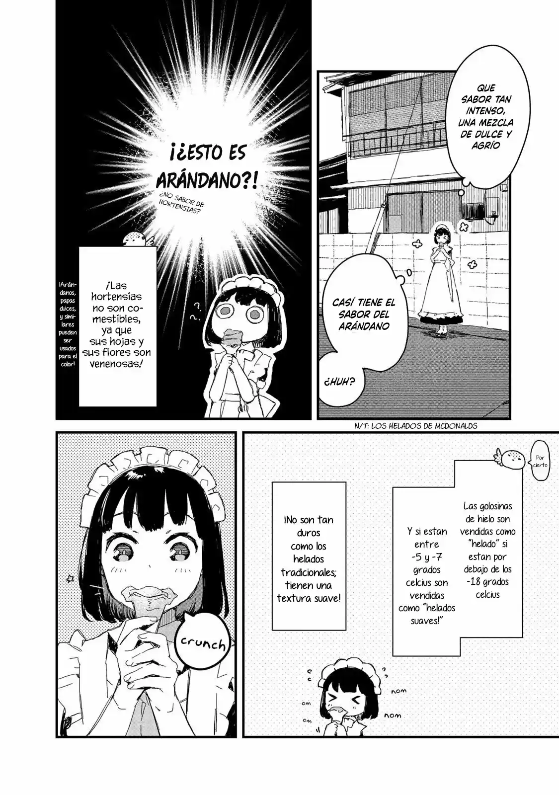 Maid-san Wa Taberu Dake - Capítulo 21 - Página 9 - LectorTMOo