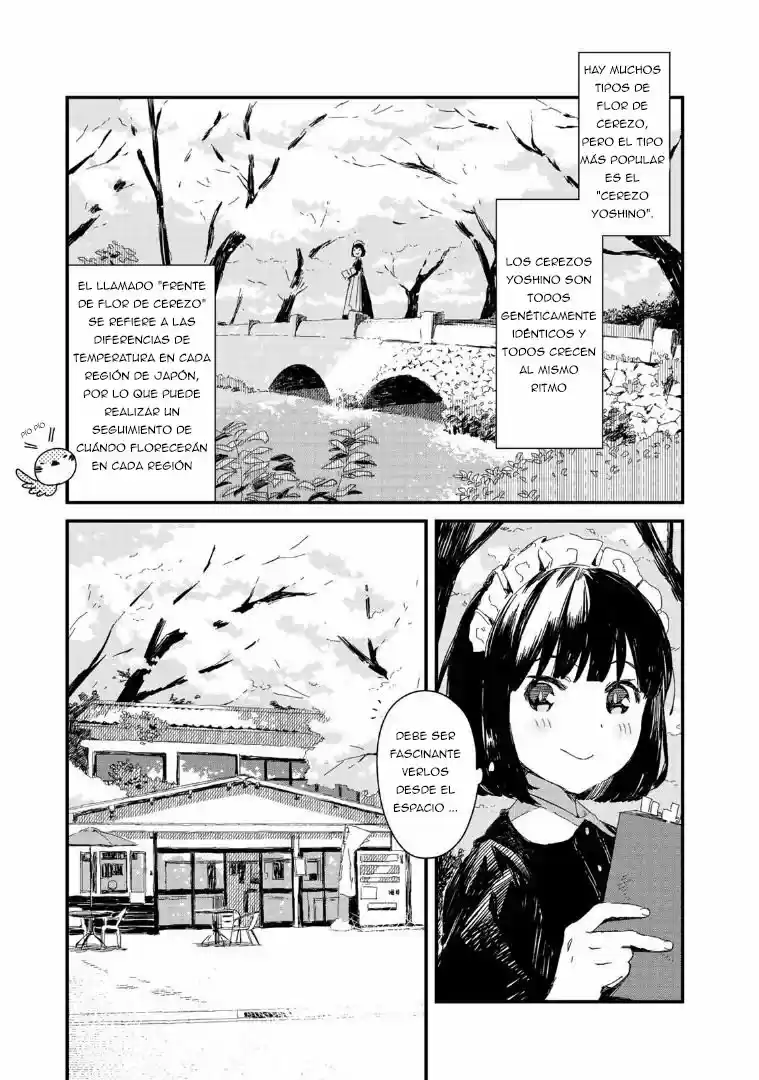 Maid-san Wa Taberu Dake - Capítulo 3 - Página 5 - LectorTMOo