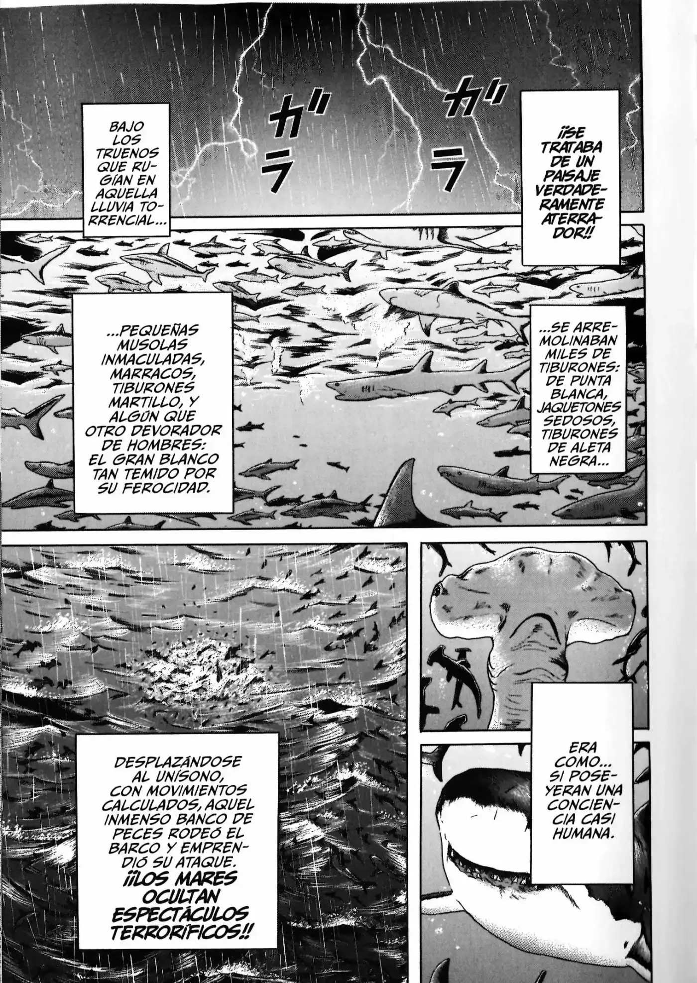 Maiwai - Capítulo 22 - Página 17 - LectorTMOo