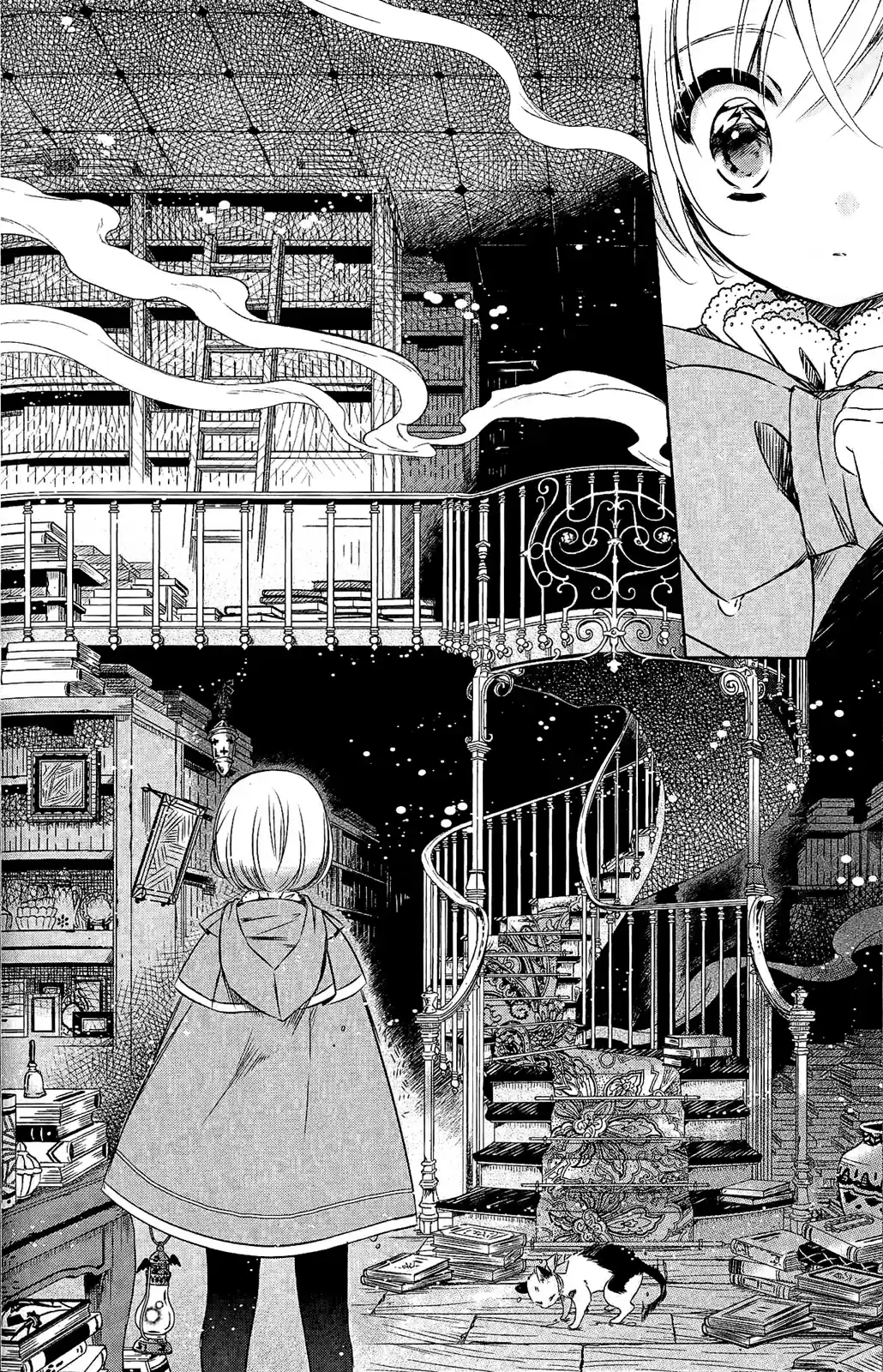 Majo No Shinzou - Capítulo 15 - Página 5 - LectorTMOo