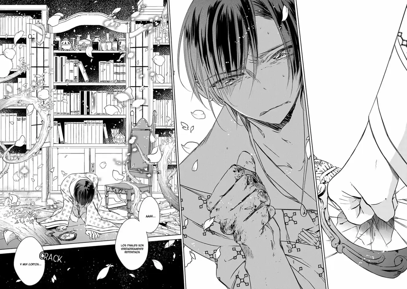 Majo No Shinzou - Capítulo 21 - Página 11 - LectorTMOo