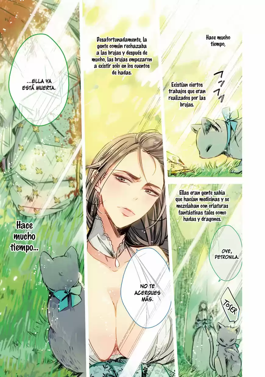 Majo No Shinzou - Capítulo 28 - Página 2 - LectorTMOo