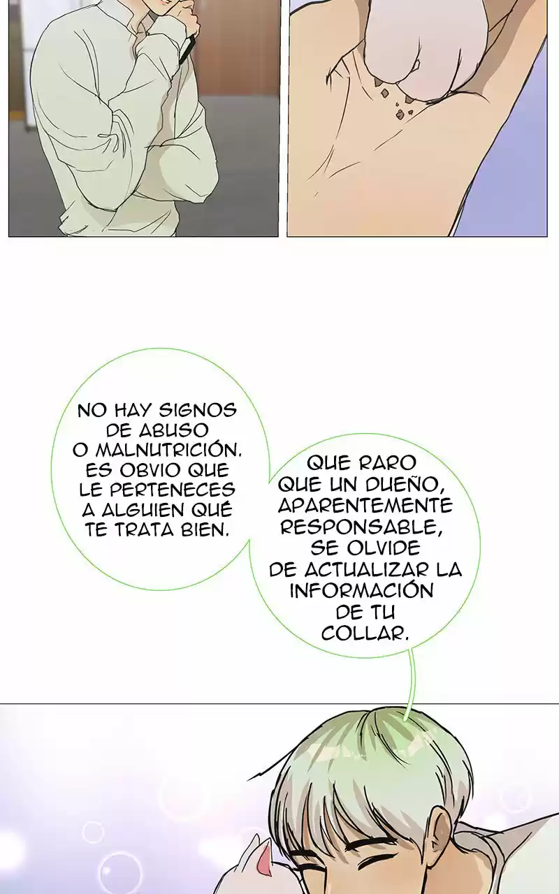 Maldito Romance - Capítulo 6 - Página 19 - LectorTMOo