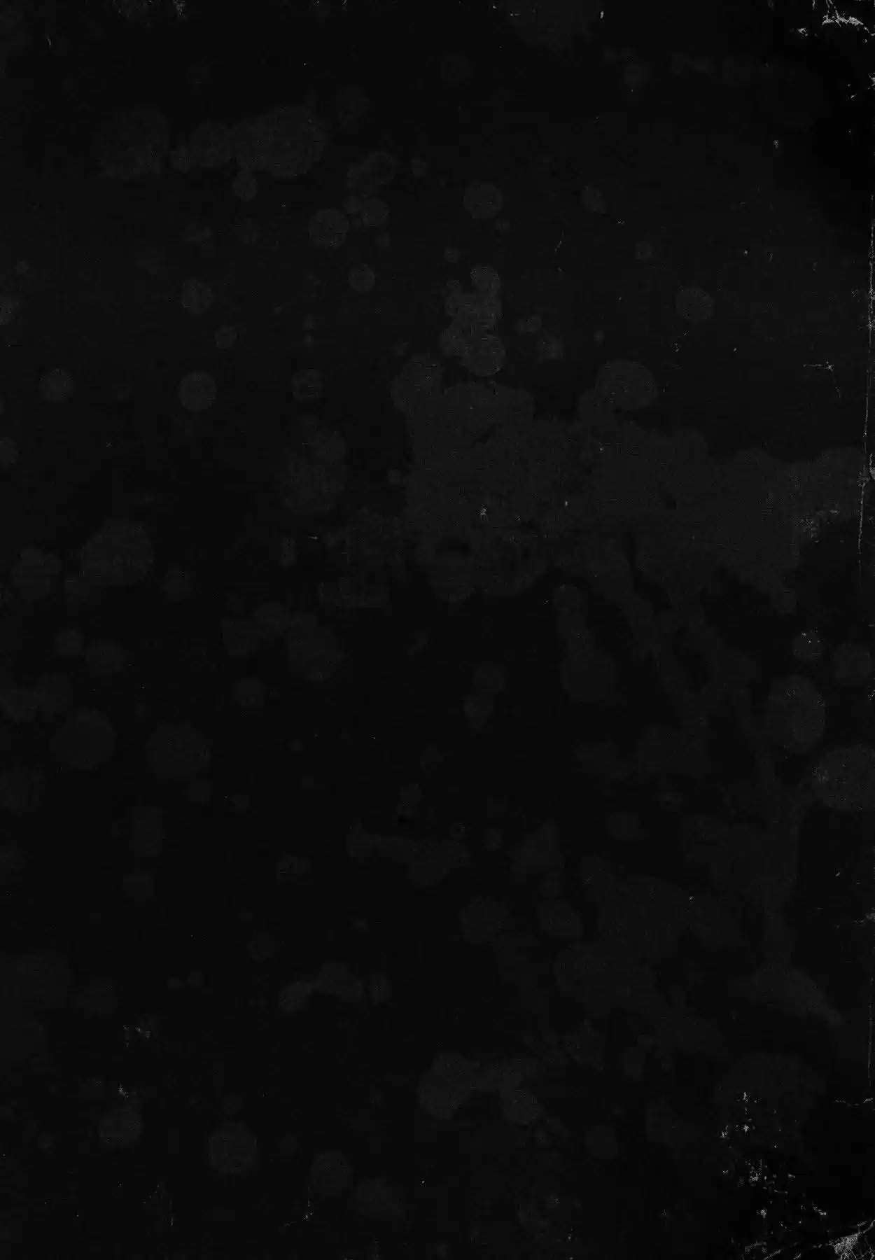Manga Of The Dead - Capítulo 2 - Página 36 - LectorTMOo