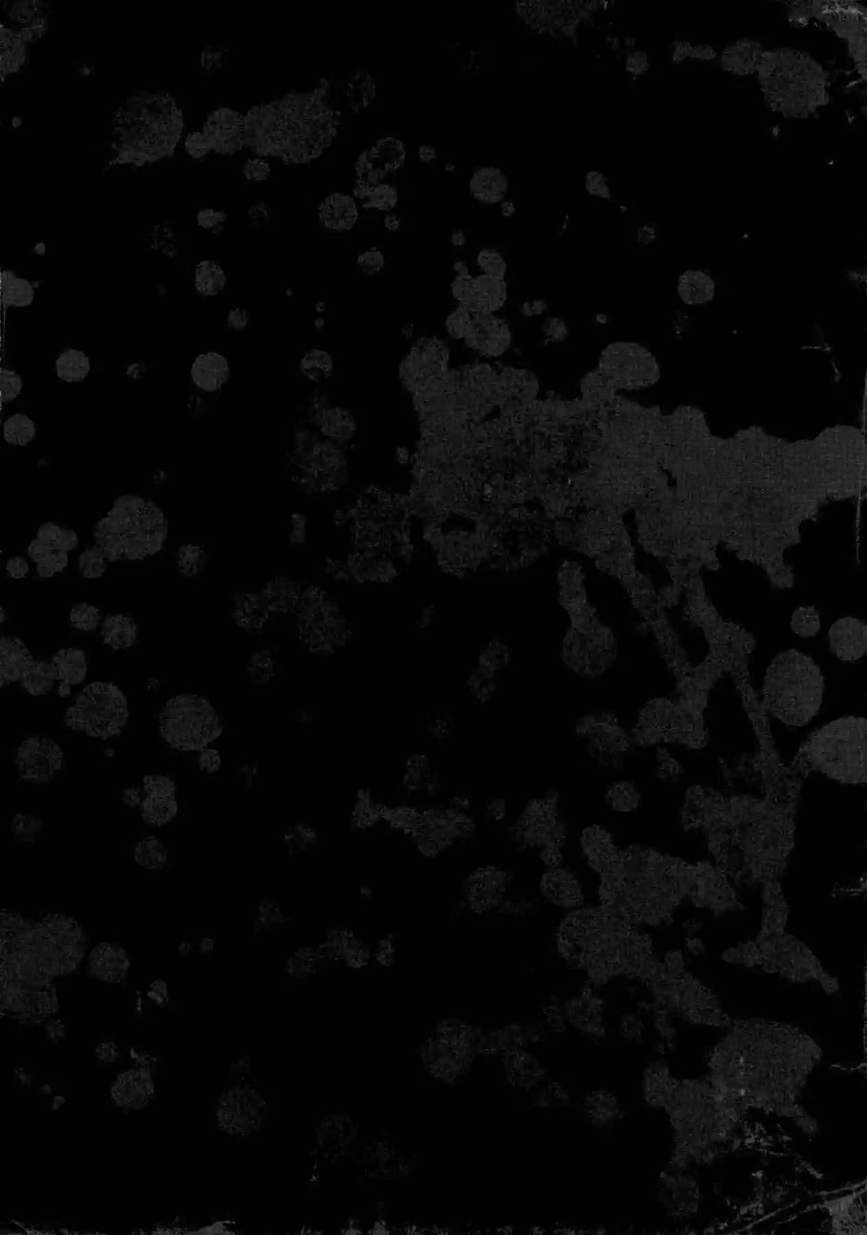 Manga Of The Dead - Capítulo 3 - Página 30 - LectorTMOo
