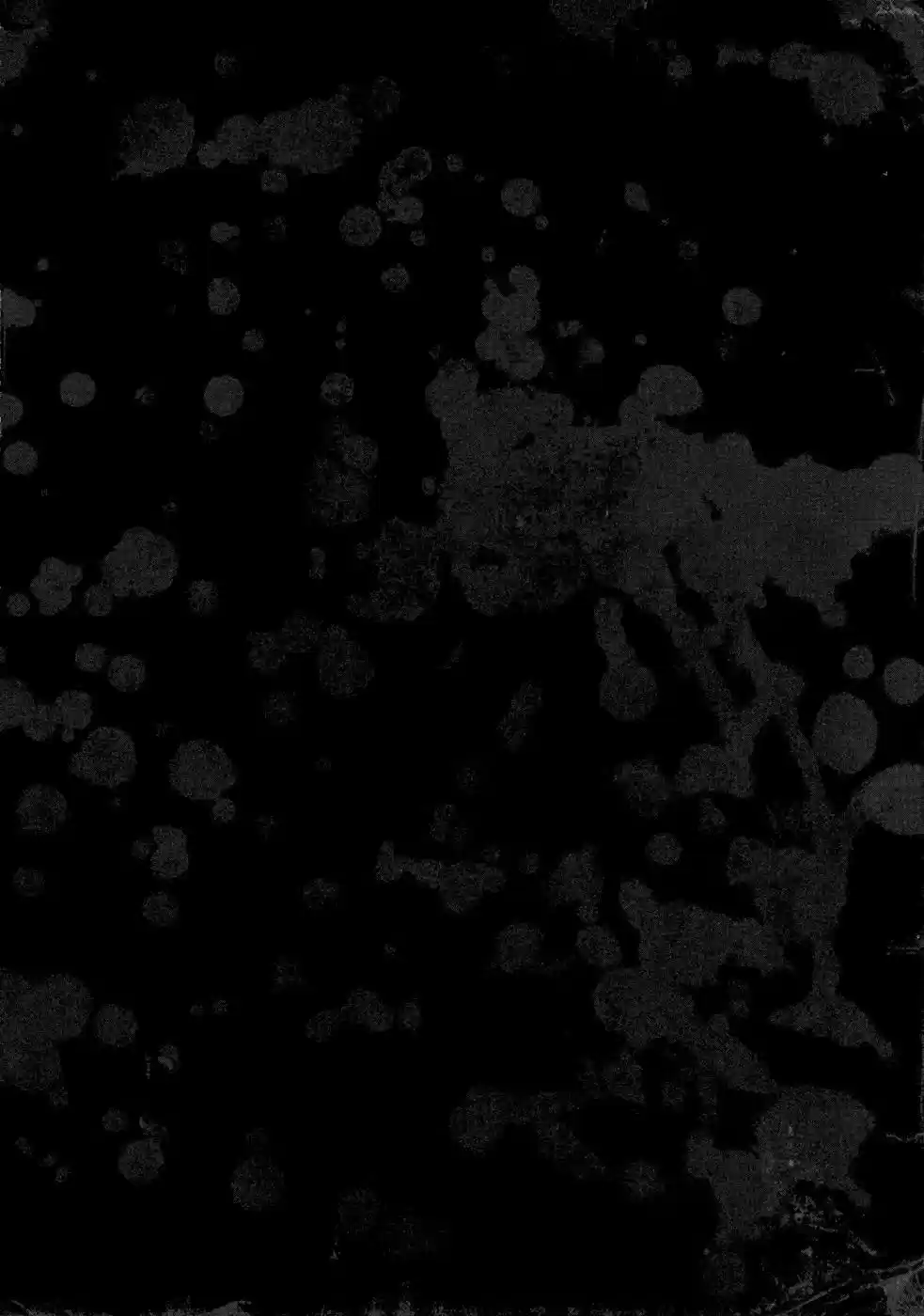 Manga Of The Dead - Capítulo 5 - Página 46 - LectorTMOo