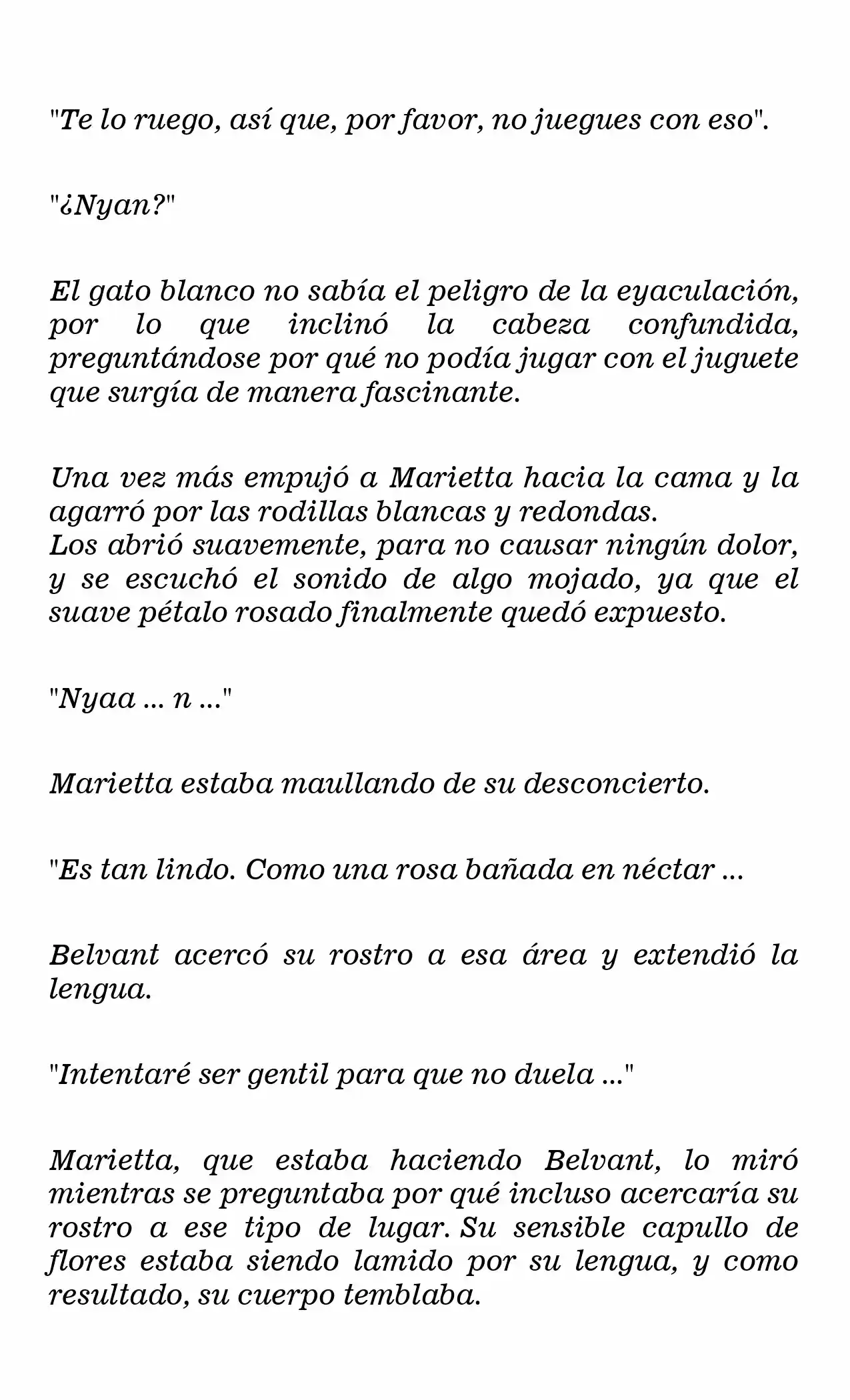 Marietta-hime No Konrei (Novela) - Capítulo 27 - Página 9 - LectorTMOo