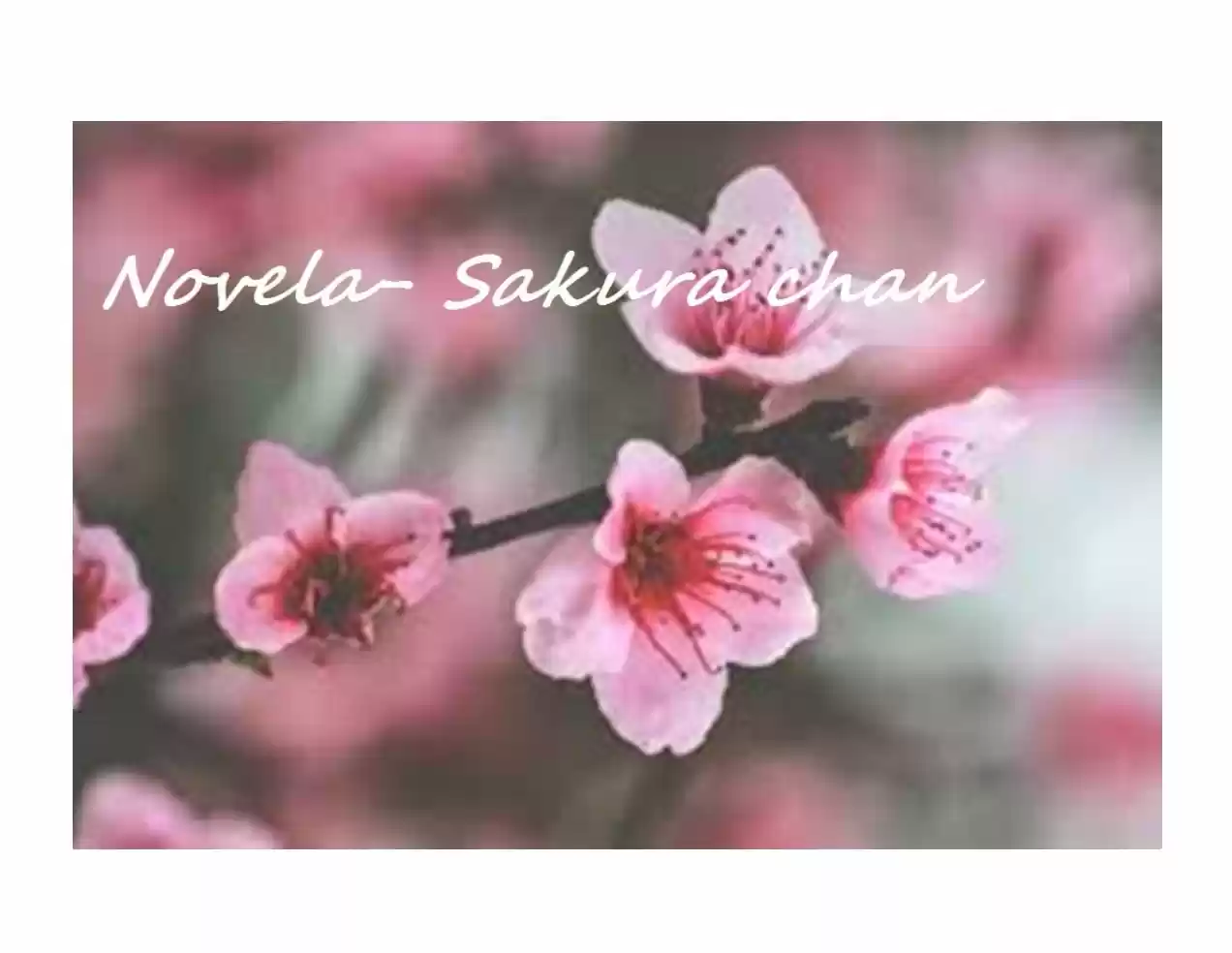 Marietta-hime No Konrei (Novela) - Capítulo 28 - Página 13 - LectorTMOo