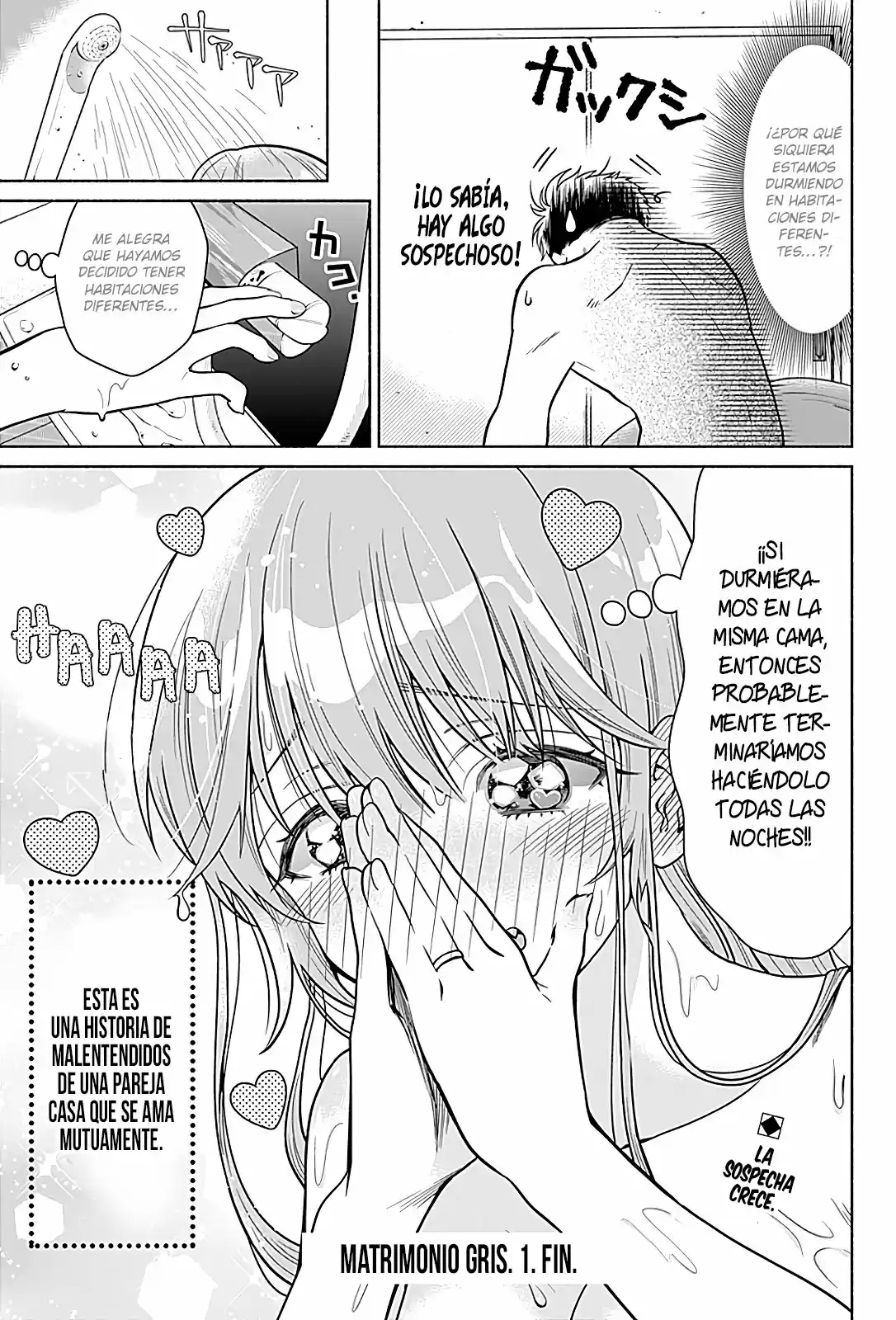 Marriage Gray - Capítulo 1 - Página 15 - LectorTMOo