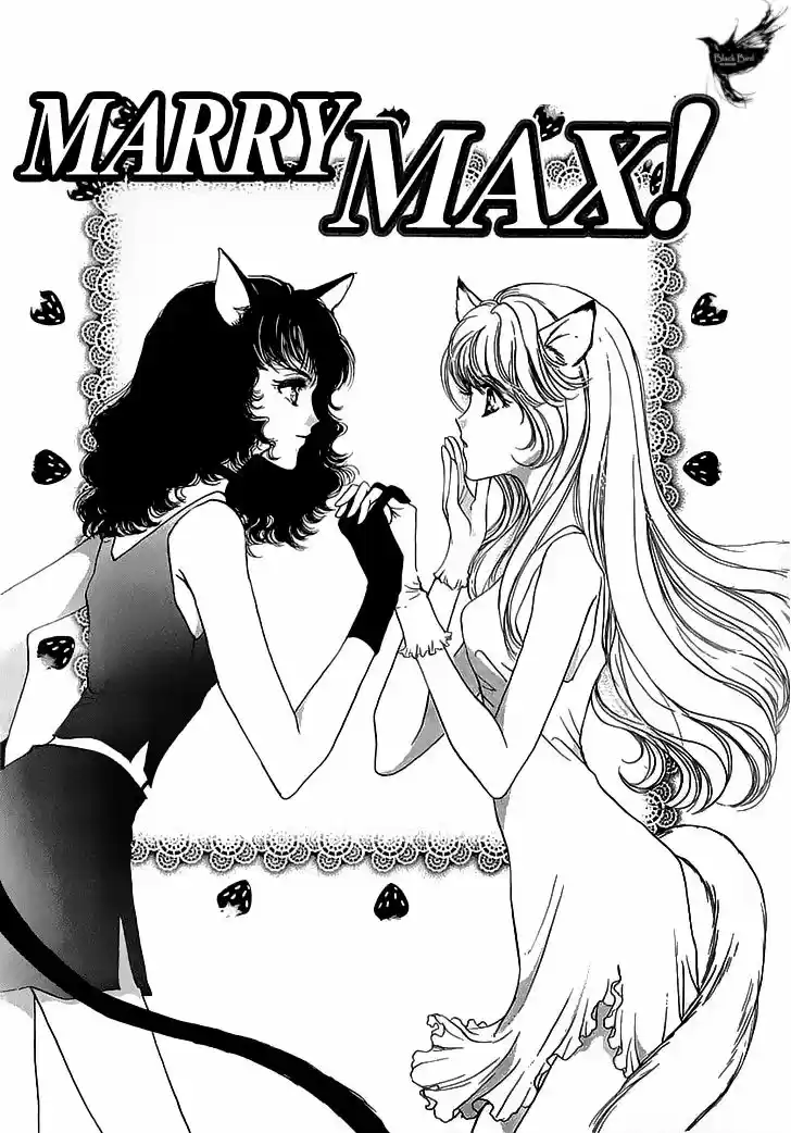 Marry Max! - Capítulo 8 - Página 5 - LectorTMOo