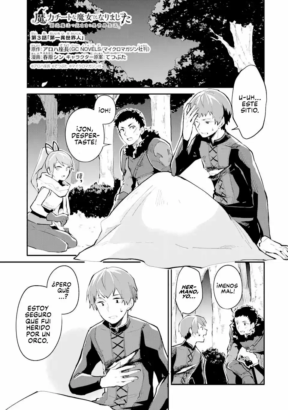 Maryoku Cheat Na Majo Ni Narimashita ~ Souzou Mahou De Kimama Na Isekai Seikatsu ~ - Capítulo 3 - Página 2 - LectorTMOo