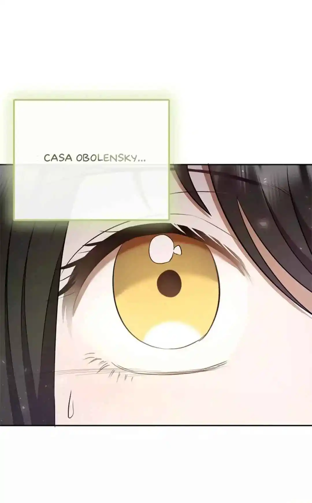 Matrimonio De Conveniencia A Una Obsesión - Capítulo 11 - Página 17 - LectorTMOo