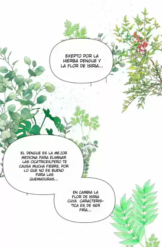 Me Convertí En La Esposa Del Protagonista Principal De Una Tragedia - Capítulo 4 - Página 25 - LectorTMOo