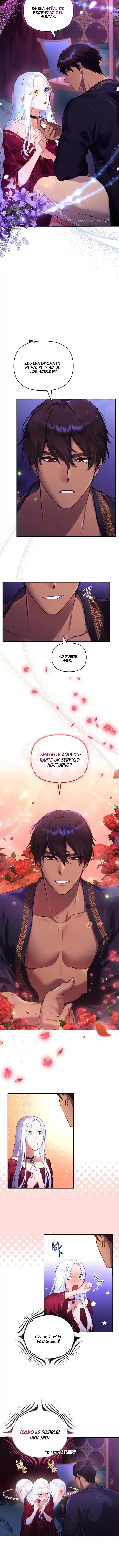 Me Convertí En La Preciosa Gata Del Sultán - Capítulo 1 - Página 14 - LectorTMOo