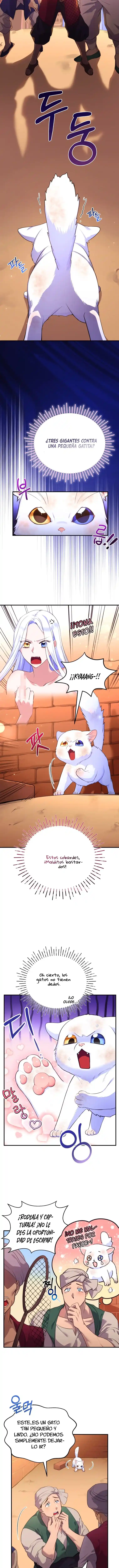 Me Convertí En La Preciosa Gata Del Sultán - Capítulo 1 - Página 19 - LectorTMOo