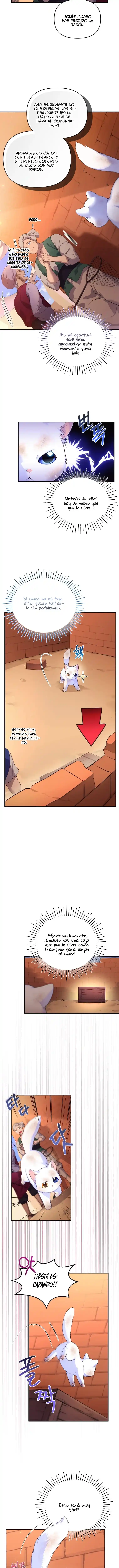 Me Convertí En La Preciosa Gata Del Sultán - Capítulo 1 - Página 20 - LectorTMOo